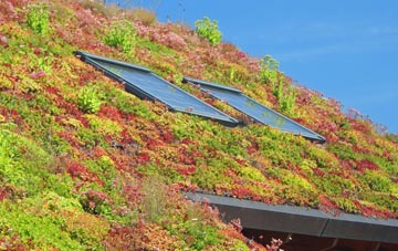 Elmstead Heath living roof systems