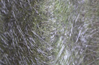 Elmstead Heath fibreglass roof work